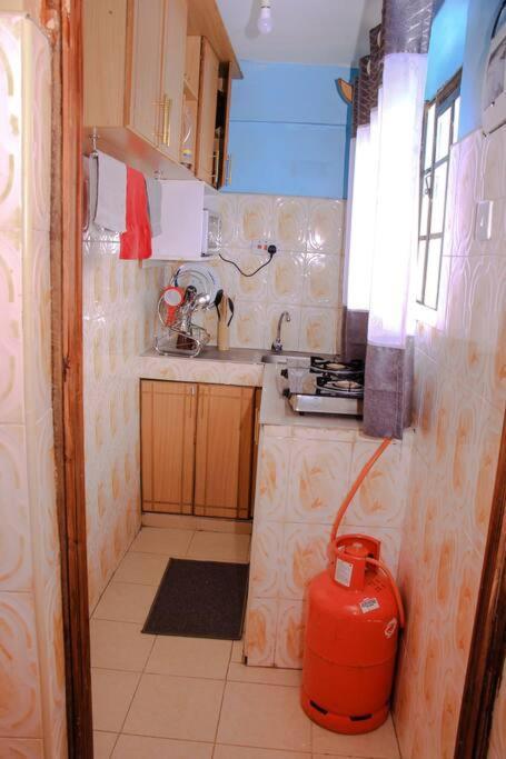 Cozy Homes 1 Bedroom House With Wi-Fi King Size Bed. Free Parking ナイバシャ エクステリア 写真
